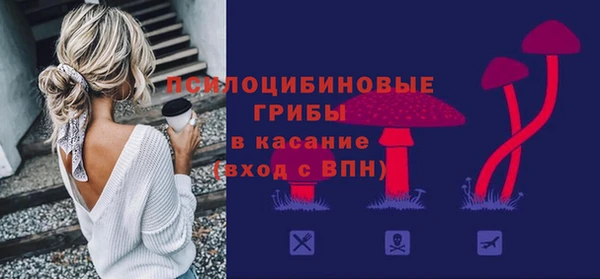 ГАЛЛЮЦИНОГЕННЫЕ ГРИБЫ Корсаков