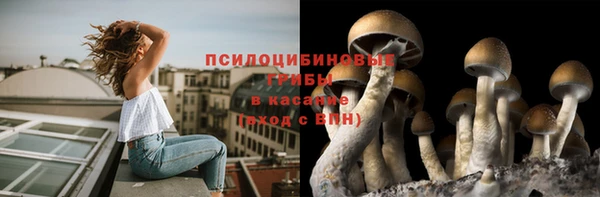 а пвп мука Козловка
