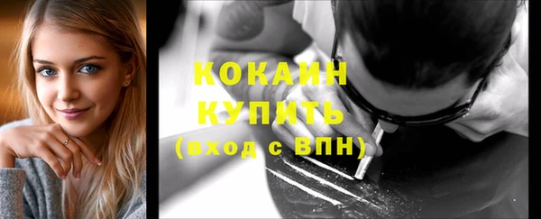 шишки Козельск