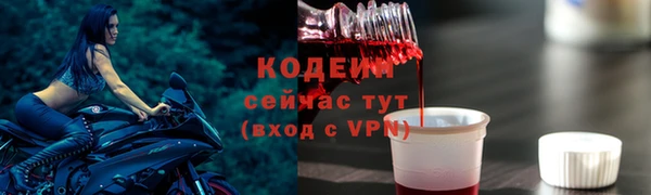 прущие грибы Кодинск