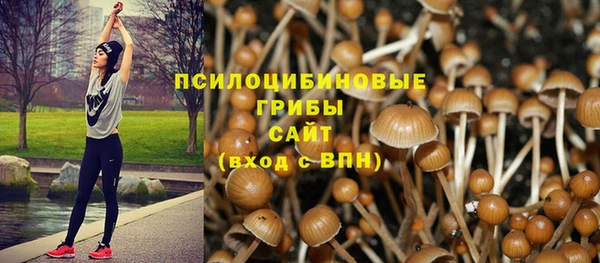 ГАЛЛЮЦИНОГЕННЫЕ ГРИБЫ Корсаков