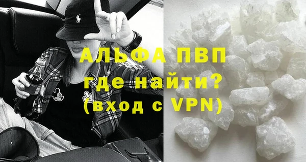 прущие грибы Кодинск