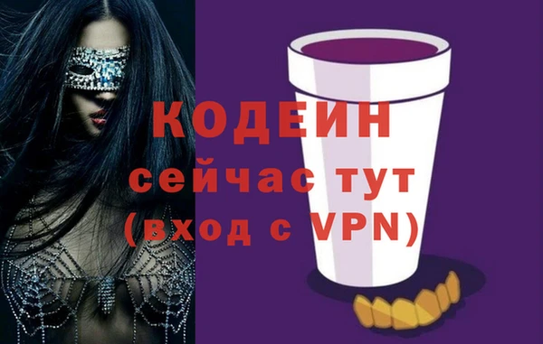 прущие грибы Кодинск
