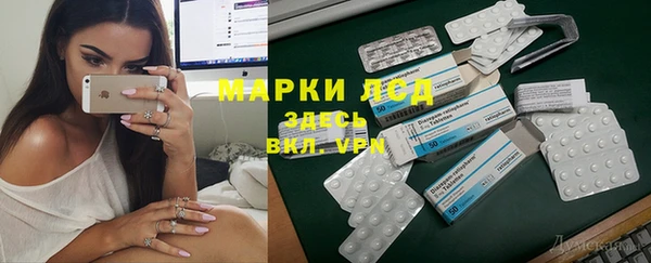 шишки Козельск