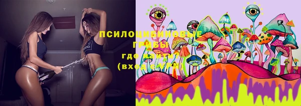 прущие грибы Кодинск